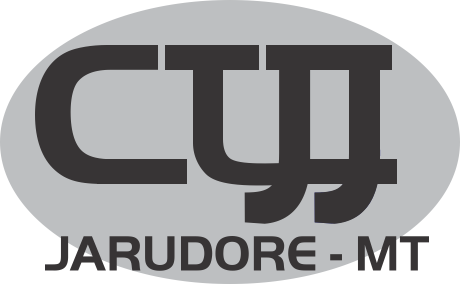 Logo do Centro Técnico Juvenil de Jarudore